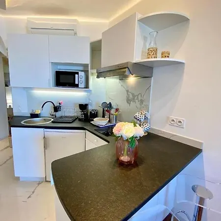Daire Le Rocamare -superb-atypical Sea View-a.c-wifi Nice